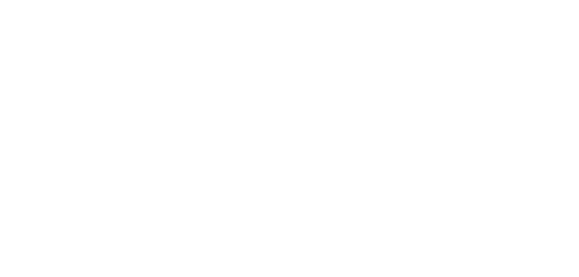 BIBO